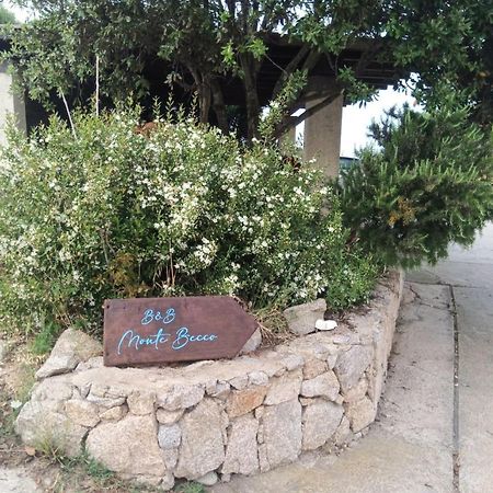 B&B Monte Becco Santa Teresa Gallura Exterior foto