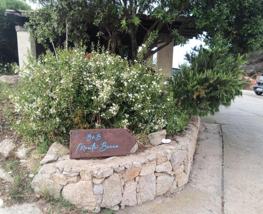 B&B Monte Becco Santa Teresa Gallura Exterior foto